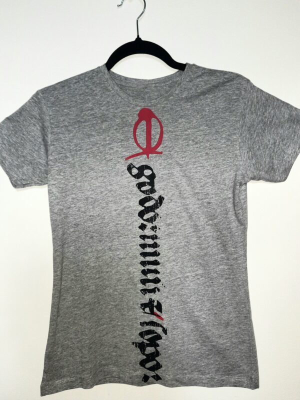 T-shirt szary z nadrukiem